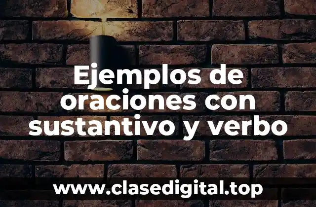 Ejemplos de oraciones con sustantivo y verbo