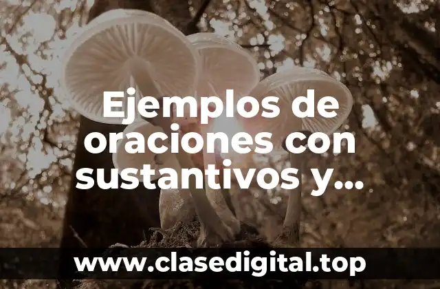 Ejemplos de oraciones con sustantivos y adjetivos