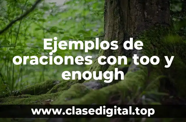 Ejemplos de oraciones con too y enough