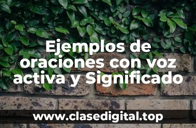 Ejemplos de oraciones con voz activa y Significado