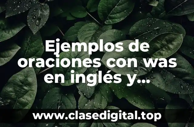 Ejemplos de oraciones con was en inglés y Significado