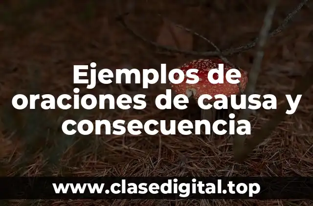 Ejemplos de oraciones de causa y consecuencia