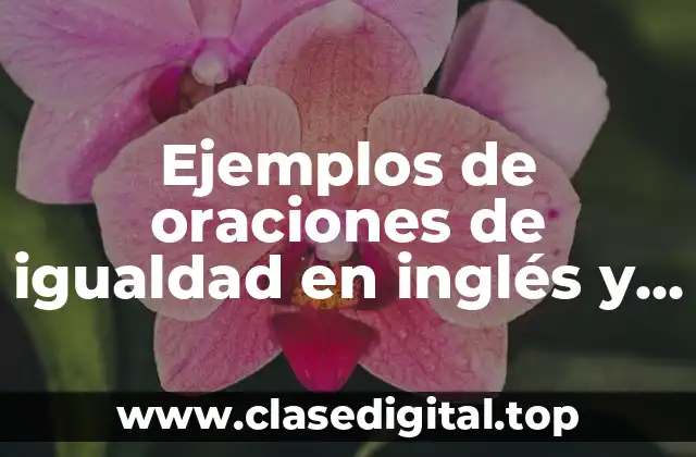Ejemplos de oraciones de igualdad en inglés y Significado