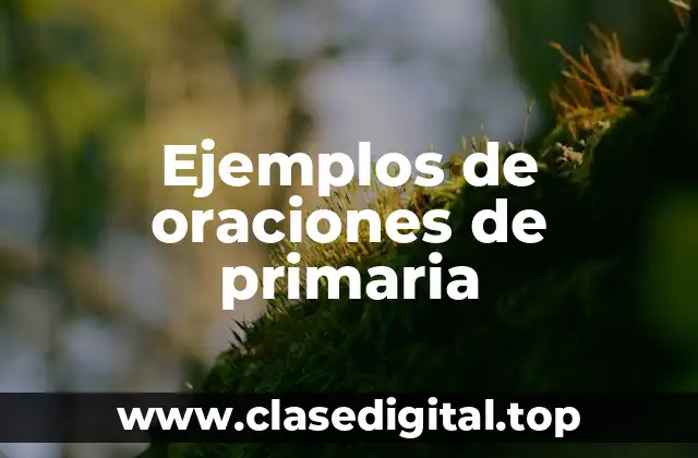 Ejemplos de oraciones de primaria