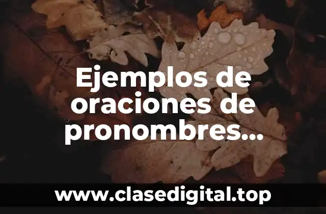 Ejemplos de oraciones de pronombres indefinidos