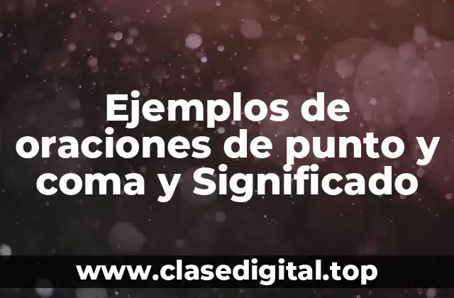 Ejemplos de oraciones de punto y coma y Significado
