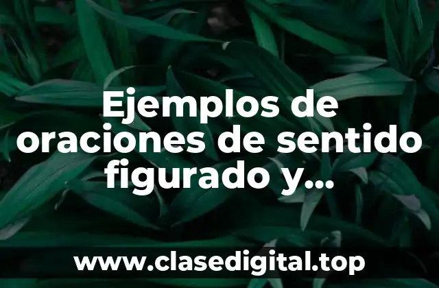 Ejemplos de oraciones de sentido figurado y Significado