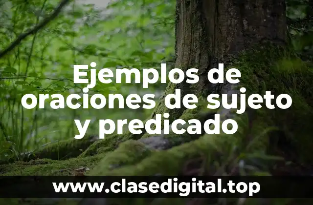 Ejemplos de oraciones de sujeto y predicado