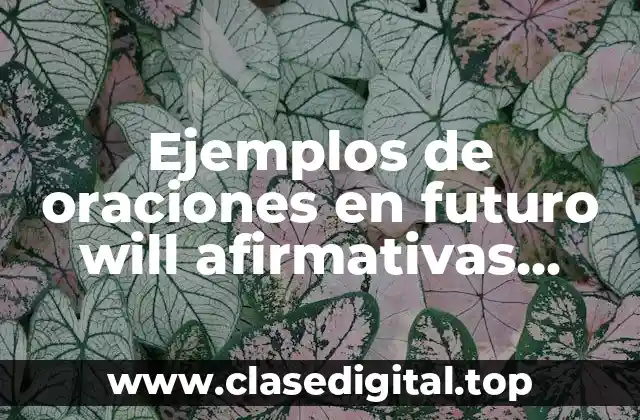 Ejemplos de oraciones en futuro will afirmativas, negativas e