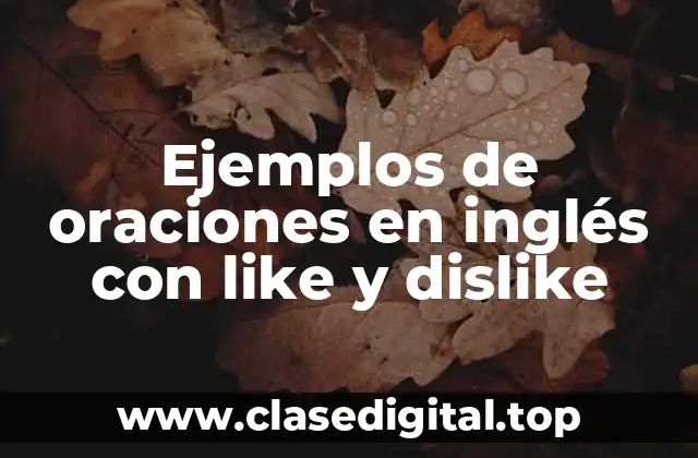 Ejemplos de oraciones en inglés con like y dislike