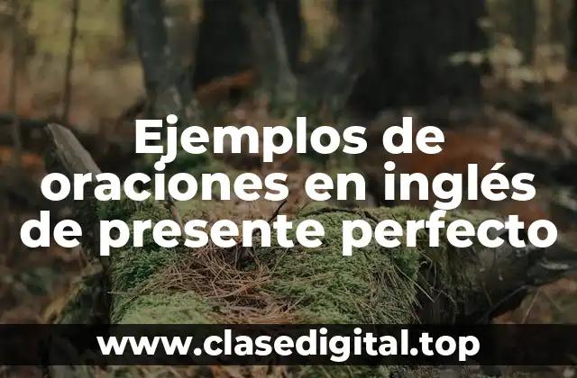 Ejemplos de oraciones en inglés de presente perfecto