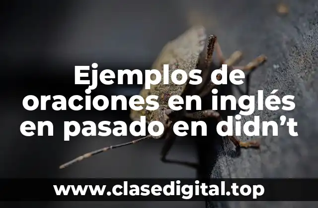 Ejemplos de oraciones en inglés en pasado en didn’t