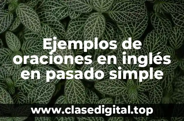 Ejemplos de oraciones en inglés en pasado simple