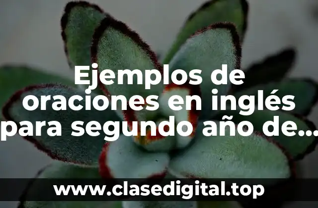Ejemplos de oraciones en inglés para segundo año de primaria