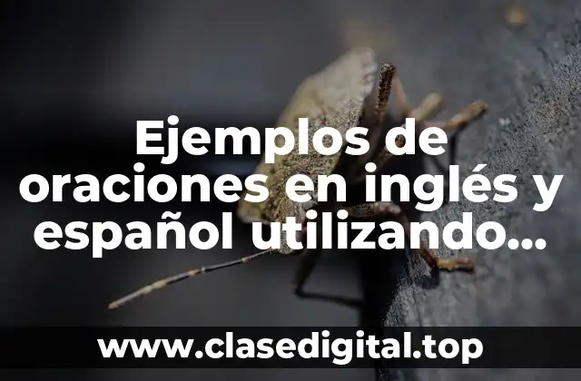 Ejemplos de oraciones en inglés y español utilizando could these