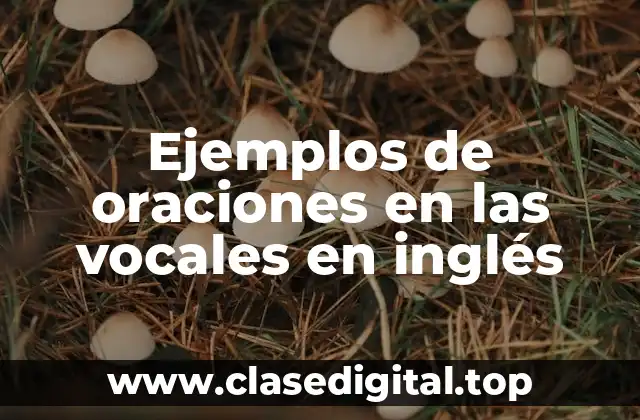 Ejemplos de oraciones en las vocales en inglés