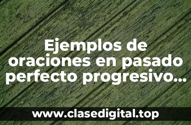 Ejemplos de oraciones en pasado perfecto progresivo en inglés y Significado