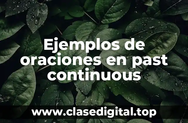 Ejemplos de oraciones en past continuous