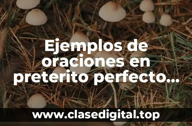 Ejemplos de oraciones en preterito perfecto simple