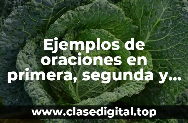 Ejemplos de oraciones en primera, segunda y tercera persona