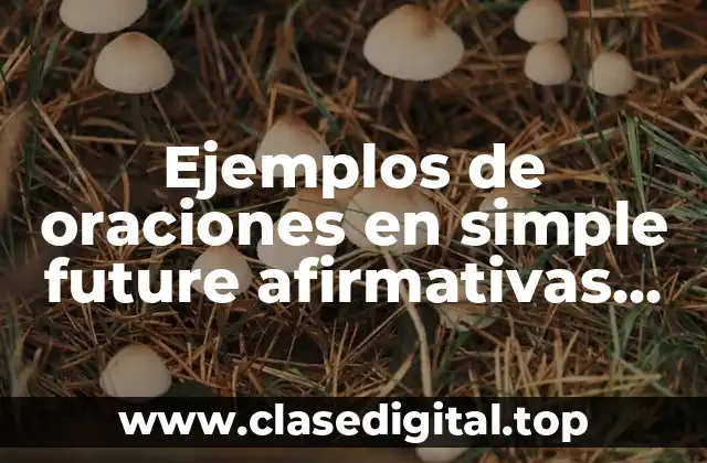 Ejemplos de oraciones en simple future afirmativas, negativas e interrogativas y Significado