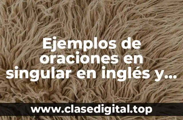 Ejemplos de oraciones en singular en inglés
