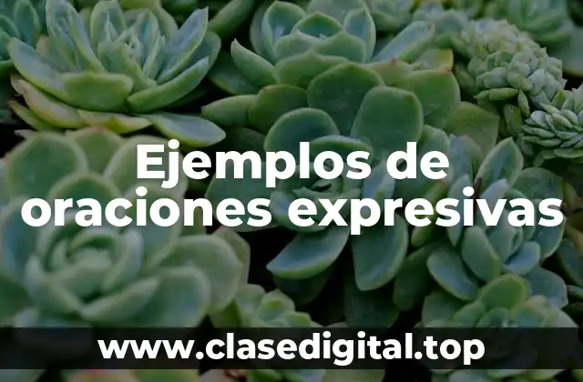 Ejemplos de oraciones expresivas