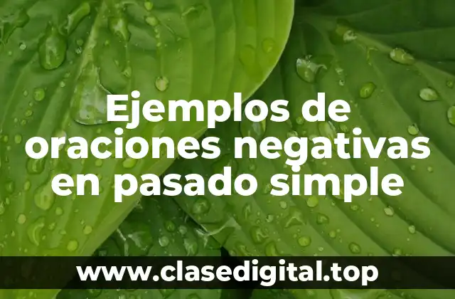 Ejemplos de oraciones negativas en pasado simple