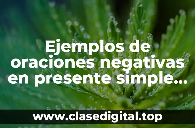 Ejemplos de oraciones negativas en presente simple en inglés y Significado