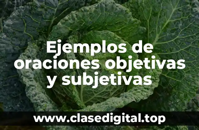 Ejemplos de oraciones objetivas y subjetivas