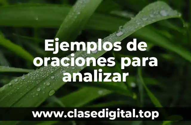 Ejemplos de oraciones para analizar