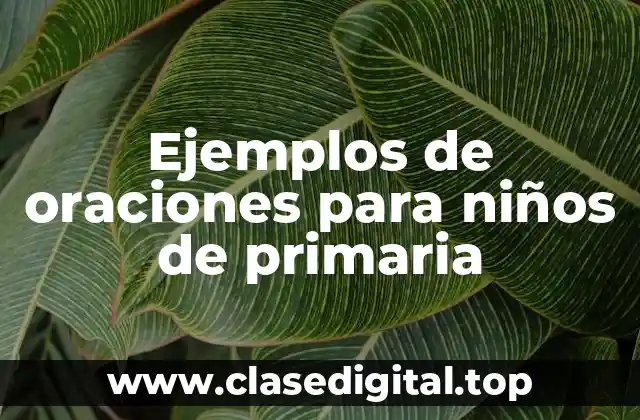 Ejemplos de oraciones para niños de primaria