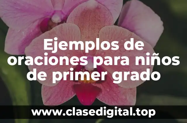 Ejemplos de oraciones para niños de primer grado