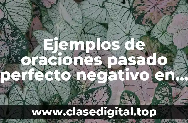 Ejemplos de oraciones pasado perfecto negativo en inglés y español