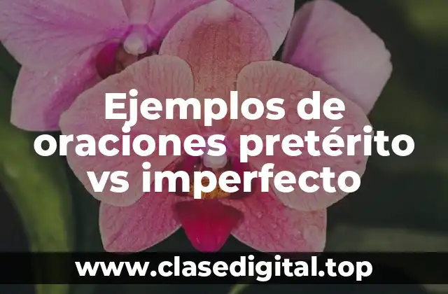 Ejemplos de oraciones pretérito vs imperfecto