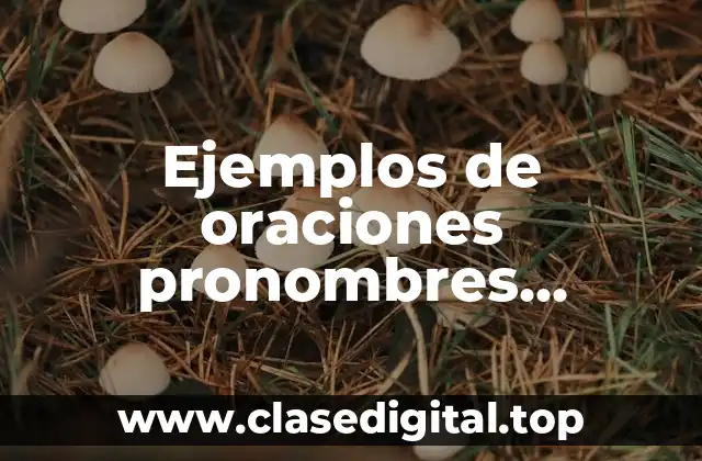 Ejemplos de oraciones pronombres posesivos