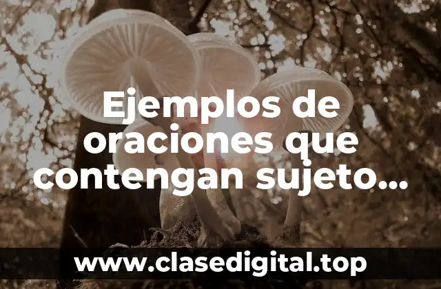 Ejemplos de oraciones que contengan sujeto con complemento directo e