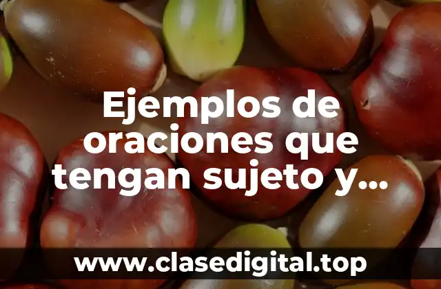 Ejemplos de oraciones que tengan sujeto y predicado