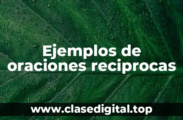 Ejemplos de oraciones reciprocas
