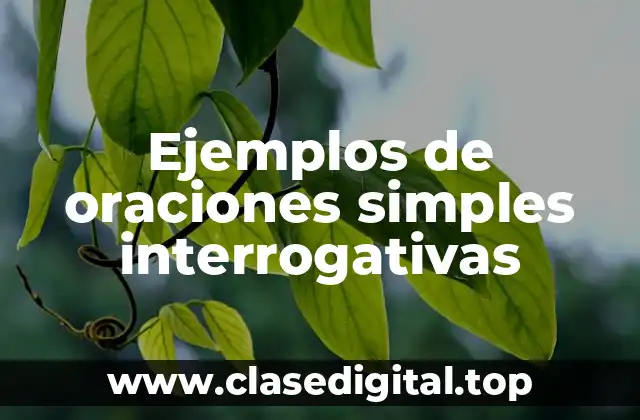 Ejemplos de oraciones simples interrogativas