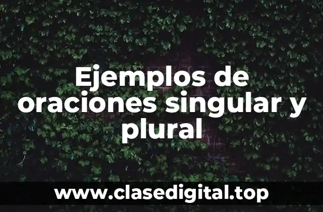Ejemplos de oraciones singular y plural