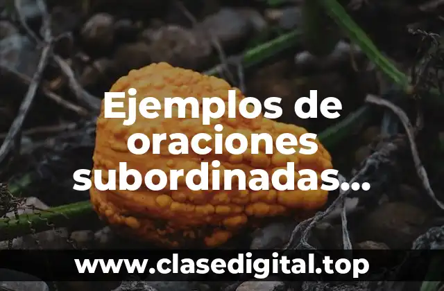 Ejemplos de oraciones subordinadas adverbiales de modo, tiempo y lugar