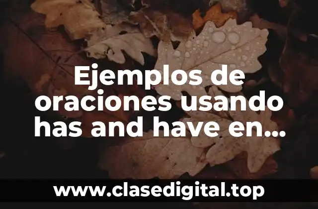 Ejemplos de oraciones usando has and have en inglés