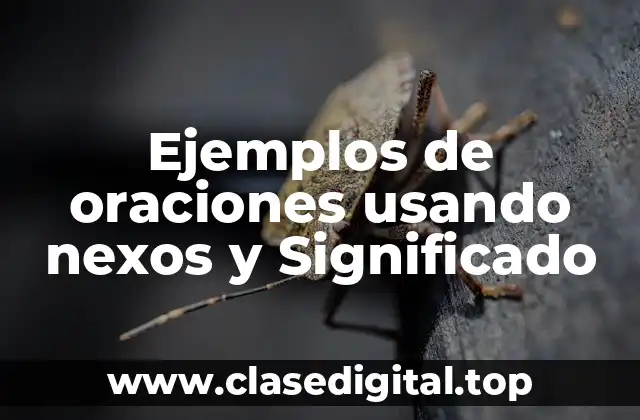 Ejemplos de oraciones usando nexos