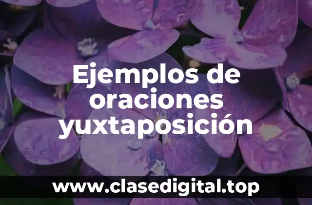 Ejemplos de oraciones yuxtaposición