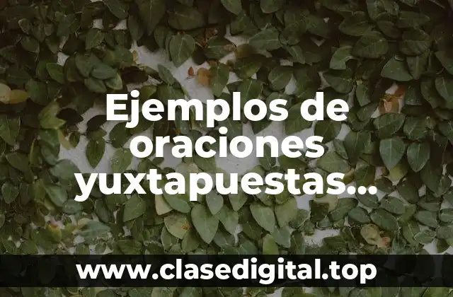 Ejemplos de oraciones yuxtapuestas coordinadas y subordinadas