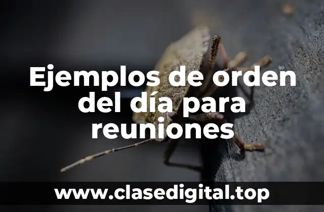 Ejemplos de orden del día para reuniones