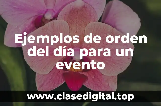 Ejemplos de orden del día para un evento