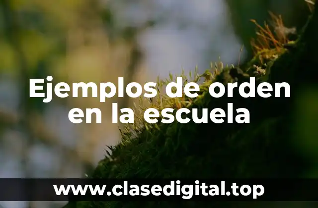 Ejemplos de orden en la escuela