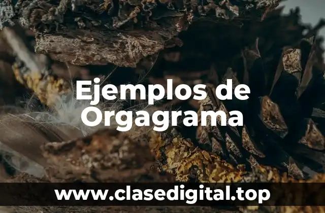 Ejemplos de Orgagrama